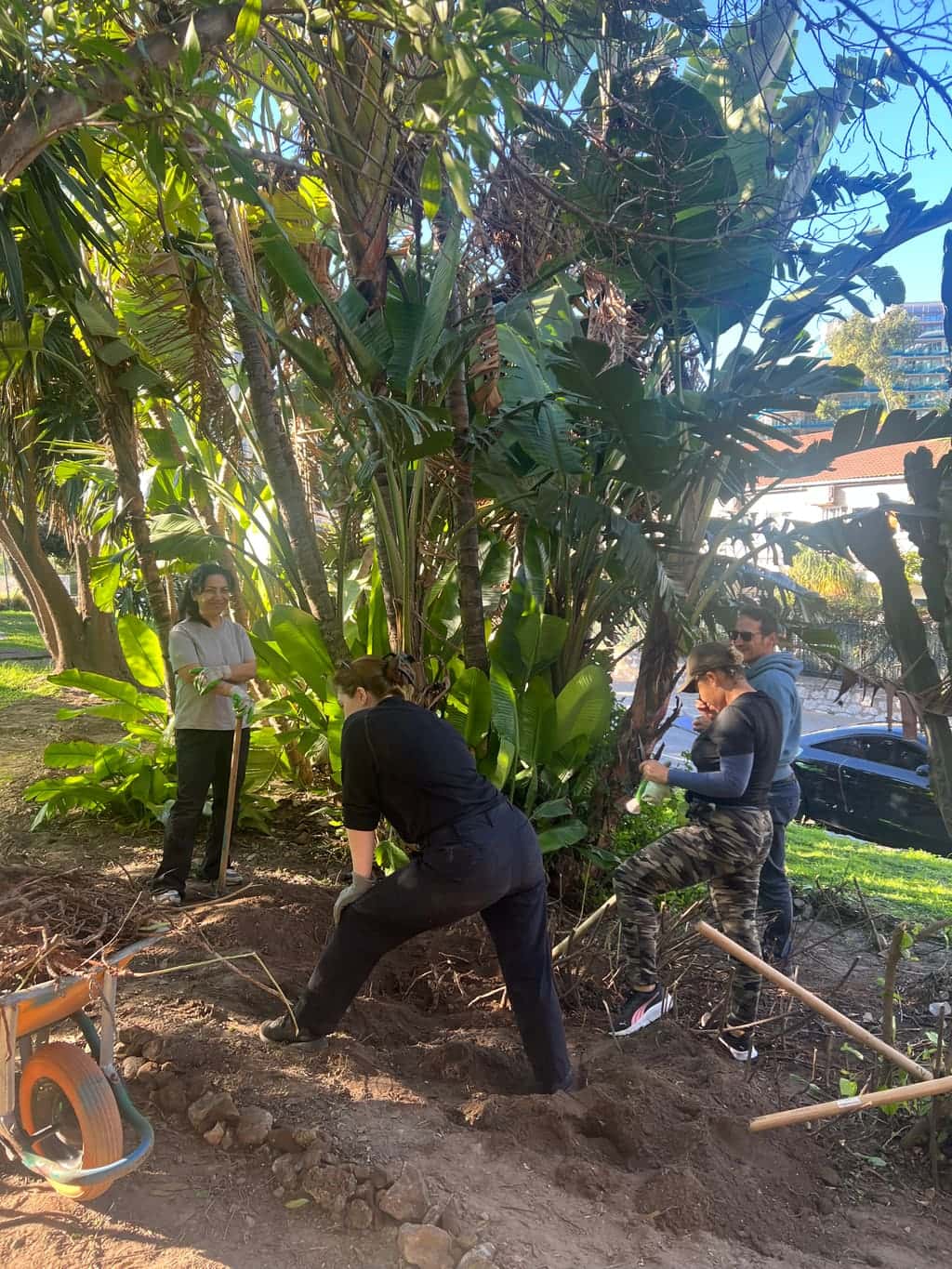 Volunteers planting saplings at a Gibraltar mini-forest site.